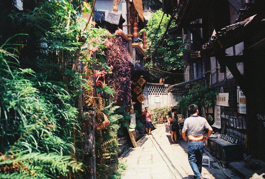 动物帮帮忙保卫家园